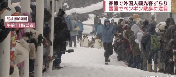 JTB：日本凭什么吸引中国游客！(图2)