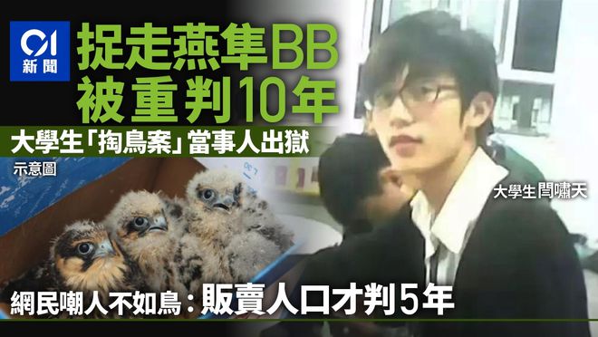 三人购潜水服偷偷下水打捞高尔夫球！共得1890颗球！目前已被刑拘(图4)