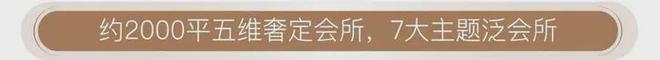 『海上·清和玺』2025官方网站-海上·清和玺最新发布-上海房天下(图29)