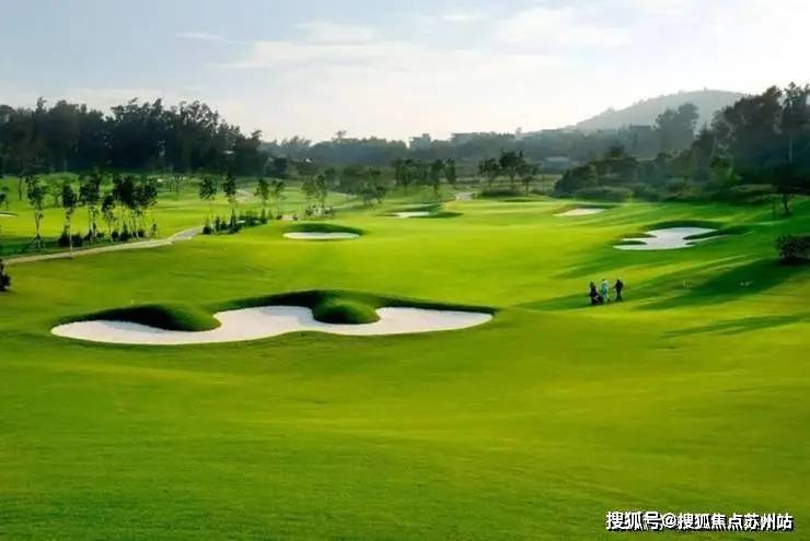 望湖玫瑰园(售楼处)首页网站-2025楼盘评测_望湖玫瑰园-户型丨停车位(图7)