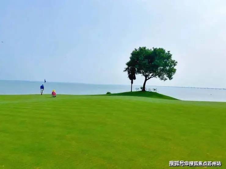 望湖玫瑰园(售楼处)首页网站-2025楼盘评测_望湖玫瑰园-户型丨停车位(图8)