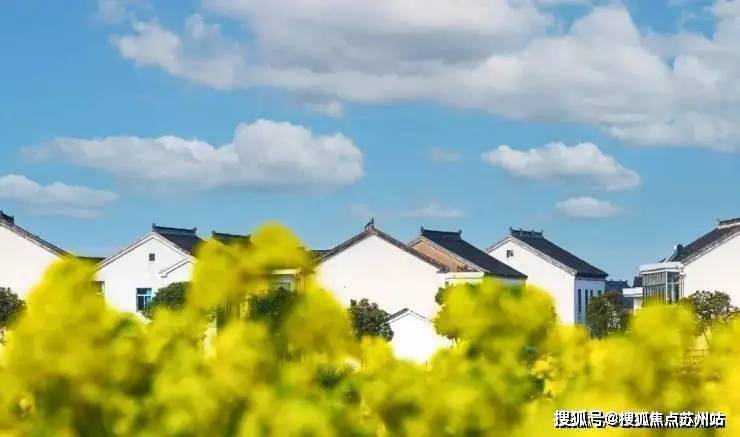 望湖玫瑰园(售楼处)首页网站-2025楼盘评测_望湖玫瑰园-户型丨停车位(图10)