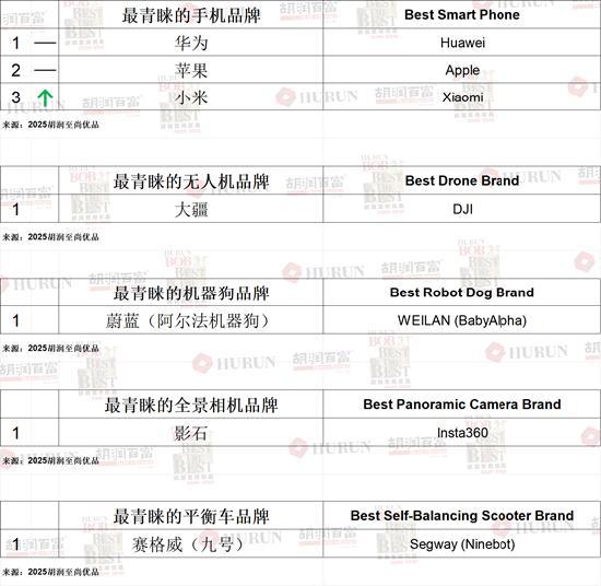 高净值人群啥样？带劳力士、配爱马仕、送香奈儿、用华为手机、偶像是雷军(图8)