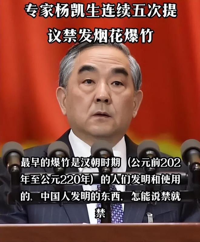 当年提议“春节禁止燃放烟花爆竹”的杨凯生现在过的怎么样了!(图4)
