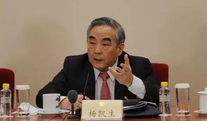 当年提议“春节禁止燃放烟花爆竹”的杨凯生现在过的怎么样了!(图8)