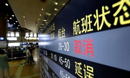 女子利用天气预报频繁购买飞机延误险5年买中900多次(图1)