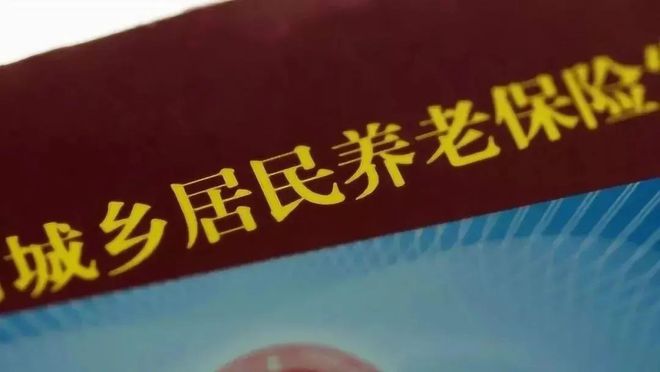 河南123元VS上海5000元：养老金差距撕裂的不仅是数字(图5)