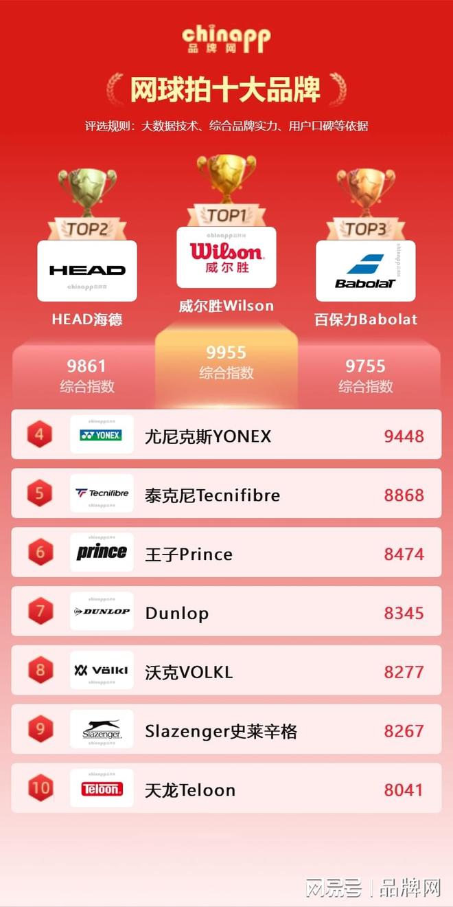 十大网球拍品牌排名 网球拍怎么选才合适(图1)