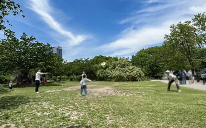 2025传世大宅@海上清和玺电话官方售楼处发布：海上清和玺㊣官方(图11)