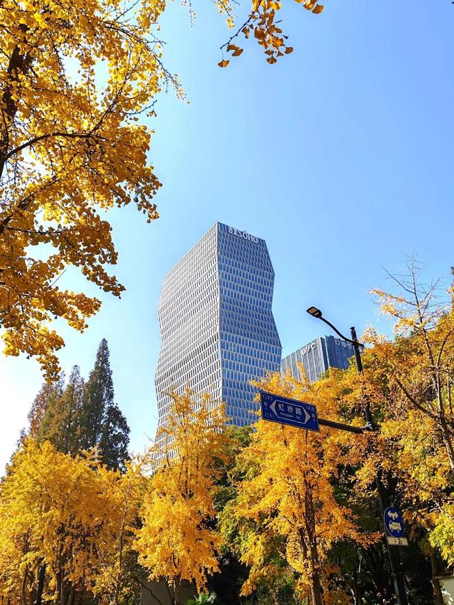 ®古北99售楼处 古北99官方发布：居住舒适度高@(图14)
