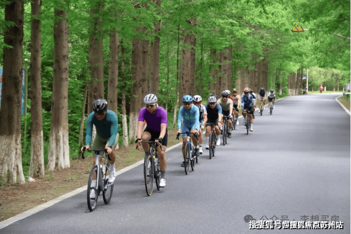 东滩海上明月(东滩海上明月售楼处)首页网站-2025售楼处营销中心地址丨最新房价_楼盘评测丨详情丨百度百科(图5)