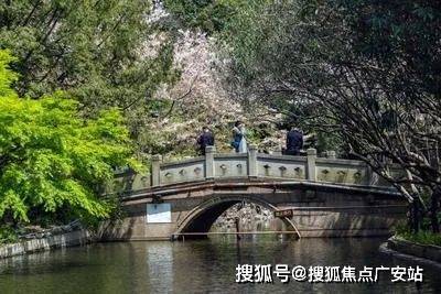 ◈万科中兴傲舍售楼处万科中兴傲舍官方发布：吸引超千组客户(图22)