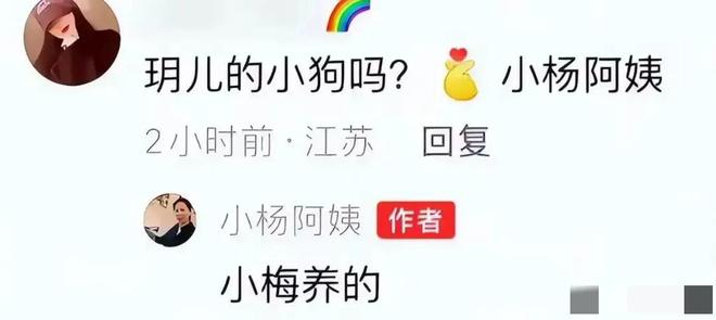 小杨阿姨秀耳环母亲节筱梅赠送的礼物即将带俩娃返京参加婚礼(图10)