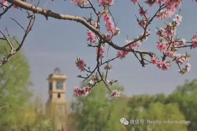 鲁能格拉斯小镇(售楼处)-2025鲁能格拉斯小镇-楼盘详情-百度百科(图13)