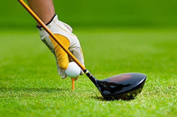 亚玛芬去年净利增近5倍中国市场营收增长43%(图1)